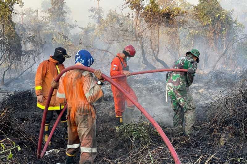 1.476 Ha Lahan Hutan di Babel Terbakar Dampak El Nino