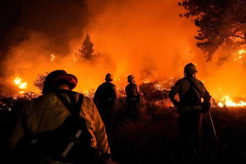 100.000 Hektare Hutan di California Hangus Terbakar