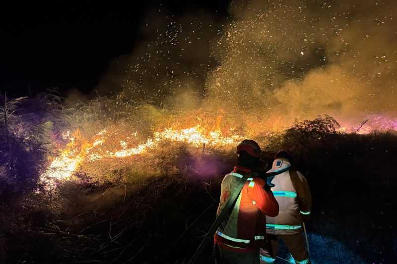 163 'Hotspot ' Karhutla di Lima Kabupaten Dipantau BPBD Kalbar