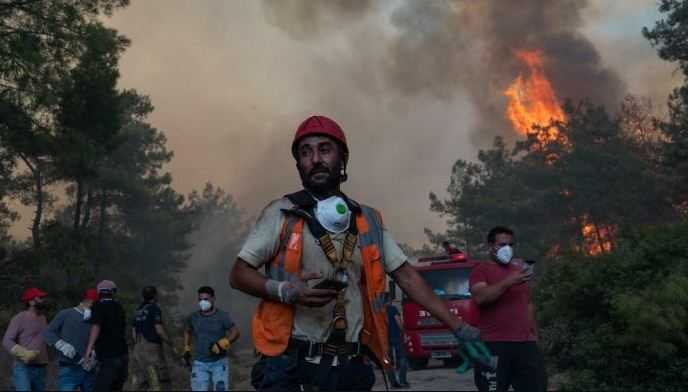 25 Orang Tewas dalam Kebakaran Hutan di Aljazair