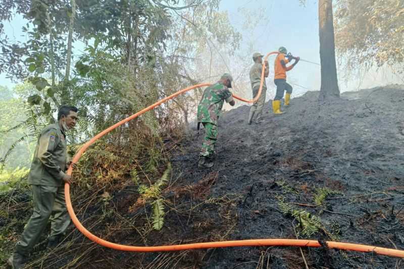 252 Titik Panas Terdeteksi di 7 Kabupaten Kalimantan Timur