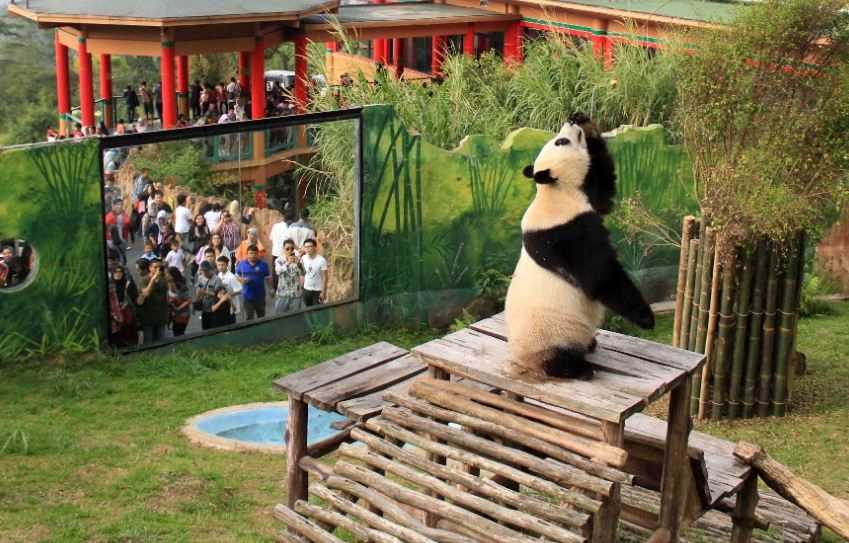 3 Rekomendasi Tempat Favorit di Taman Safari Bogor yang Wajib Dikunjungi