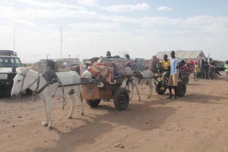 4,8 Juta Warga Sipil Mengungsi Akibat Konflik di Sudan