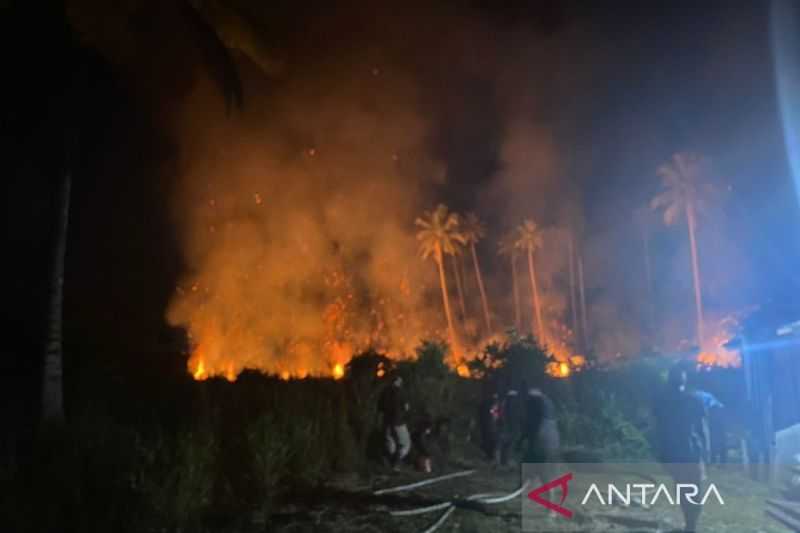 5 Hektare Hutan dan Lahan di Natuna Terbakar, Dipicu Pembukaan Lahan