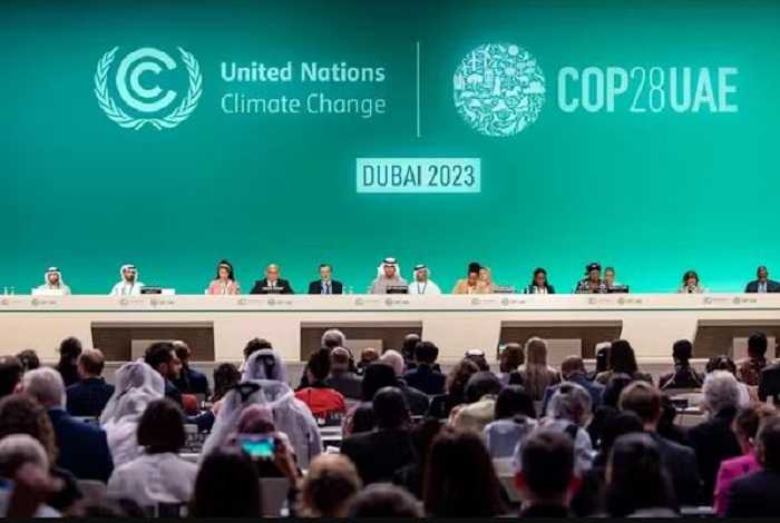 5 Kabar Baik Seputar Perubahan Iklim dan Lingkungan pada 2023