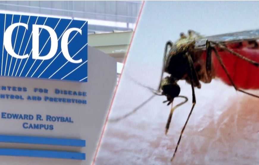 5 Kasus Malaria Ditemukan di AS, CDC Keluarkan Peringatan