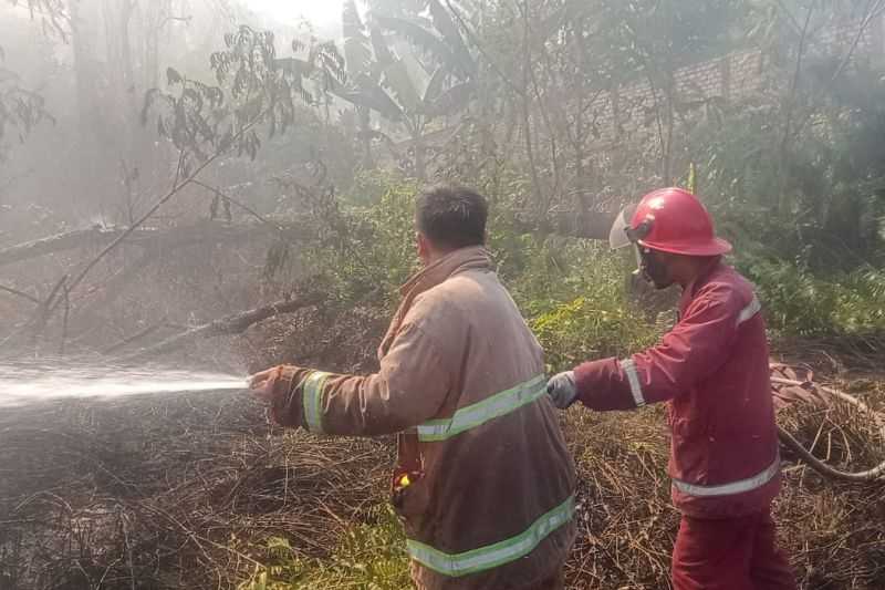 52 Personel Diterjunkan untuk Padamkan Kebakaran Lahan di Jambi