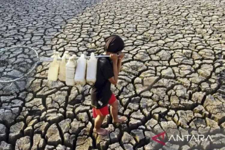 68 Juta Orang Berjuang Mengatasi Kekeringan di Afrika Bagian Selatan