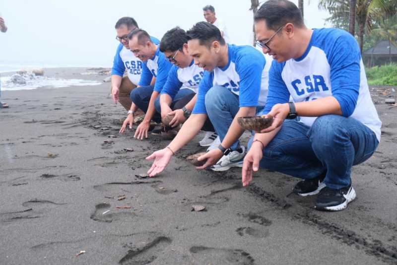 ACC Dukung Konservasi Penyu di Bali 2