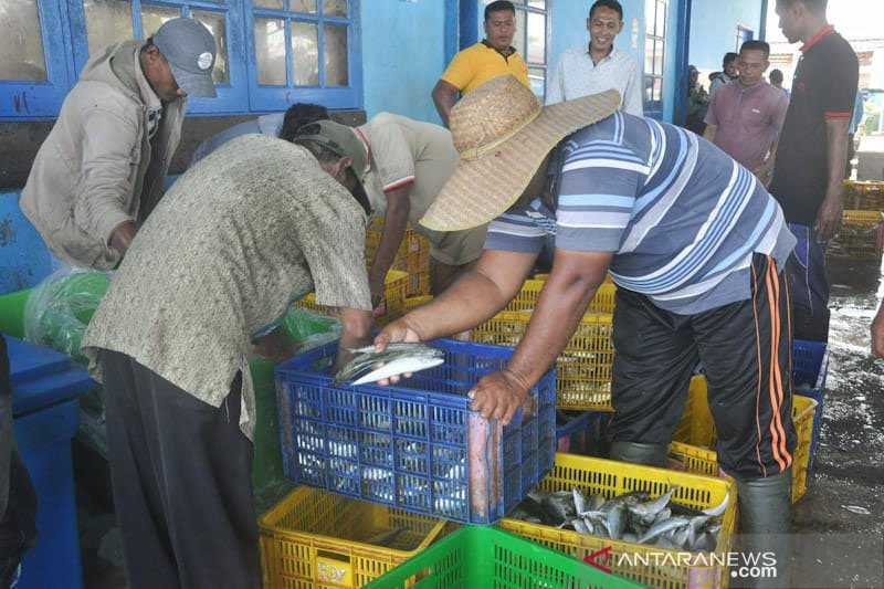 Aceh Tamiang Kembangkan Budi Daya Perikanan Darat