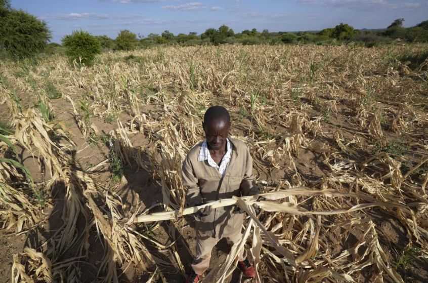 Afrika Kekeringan Akibat Cuaca Ekstrem, 20 Juta Orang Terancam Kelaparan