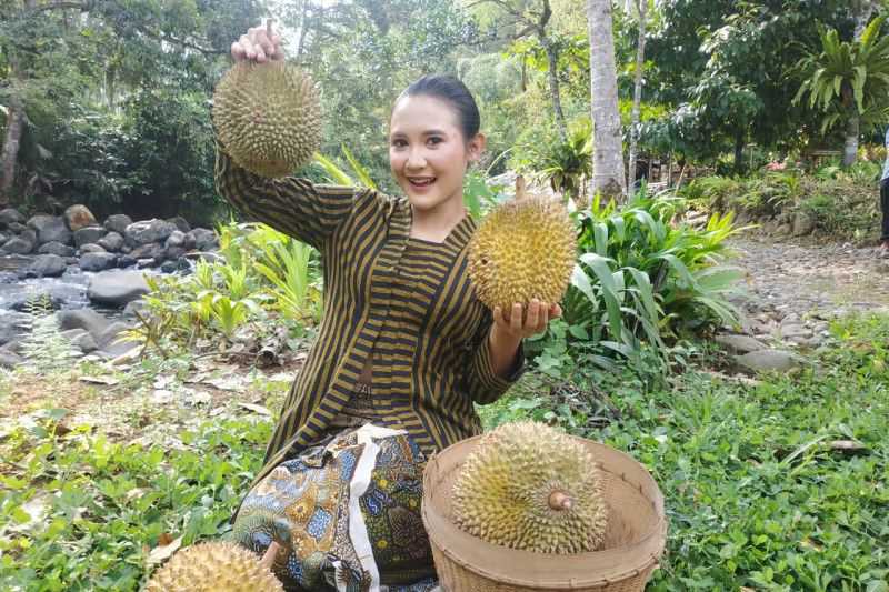 Agrowisata Hutan Durian Trenggalek Masuk Nominasi ADWI 2023