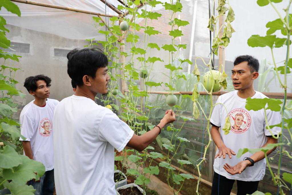 Ajak Milenial Tangerang Bertani, PMN Gelar Pelatihan Budidaya Tanaman Melon di Perkotaan