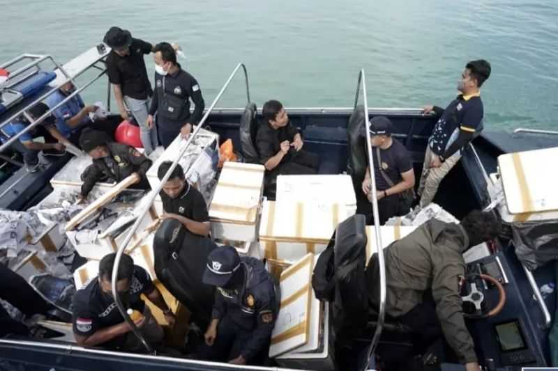 Aksi Bea Cukai Gagalkan Penyelundupan Benih Lobster Senilai Rp14 Miliar ke Singapura di Perairan Batam