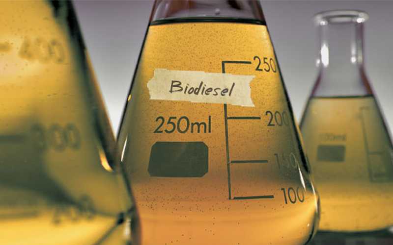 Alokasi Biodiesel 10,1 Juta Kl