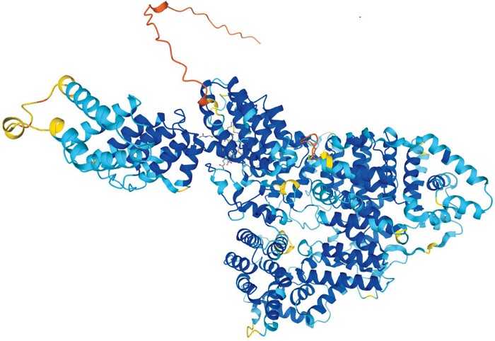 Alphafold Dapat Memprediksi Struktur Protein Dalam Tubuh