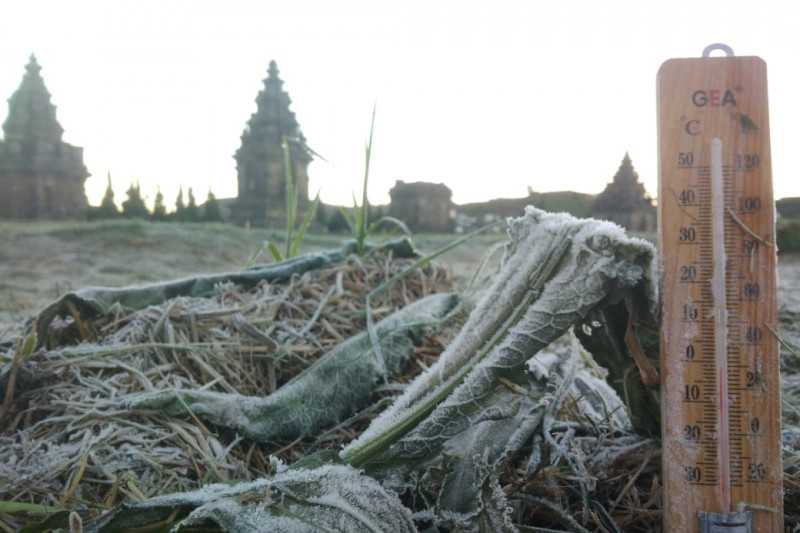 Aneh Kejadian Ini, BMKG Sebut Anomali Cuaca Picu Embun Upas di Dieng Saat Musim Hujan