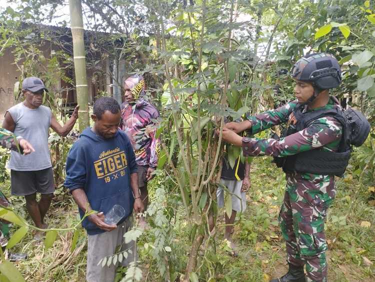Anggota Satgas Yonif 143/TWEJ Ajak Warga Intensifkan Budidaya Vanili di Perbatasan RI-PNG