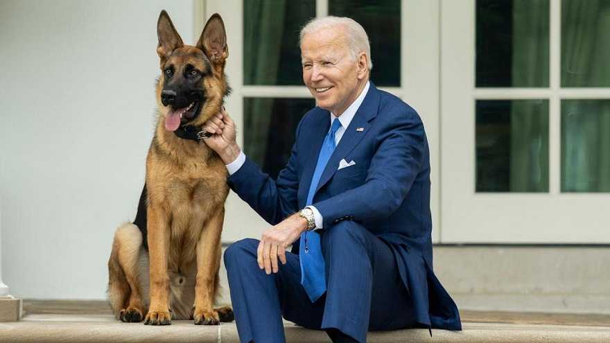 Anjing Presiden Biden Disingkirkan dari Gedung Putih Gara-gara Gigit Staf