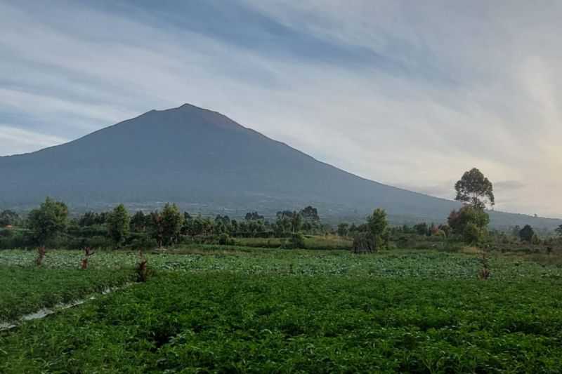 Antisipasi Ada Erupsi, Balai Besar TNKS Batasi Pendakian Gunung Kerinci