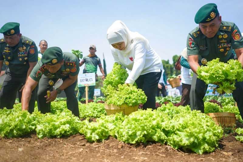 Antisipasi El Nino, Pemprov Jatim Optimalkan Lahan Tidur Tingkatkan Ketahanan Pangan