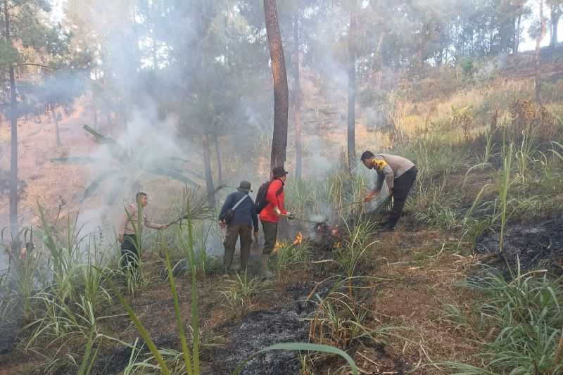 Antisipasi Karhutla Meluas, Ini yang Dilakukan BPBD Trenggalek