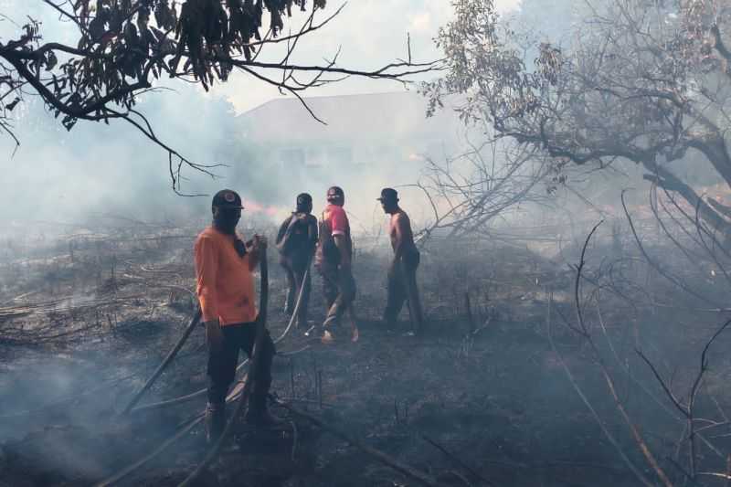 Antisipasi Kebakaran Hutan, BMKG Imbau Warga Kalteng Waspadai Potensi Karhutla
