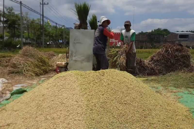 Antisipasi Kekeringan, Trenggalek Tambah Sumber Pendanaan Guna Menaikkan Produksi Pertanian