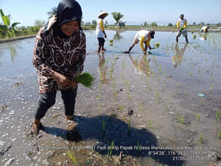 Antisipasi Kelangkaan Tenaga Kerja Petani di Indonesia Melalui Sistem Besiru