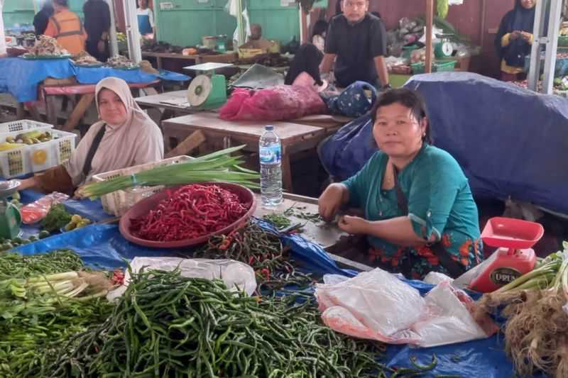 Antisipasi Lonjakan Inflasi, Riau Andalkan Produksi Cabai Asli Daerah