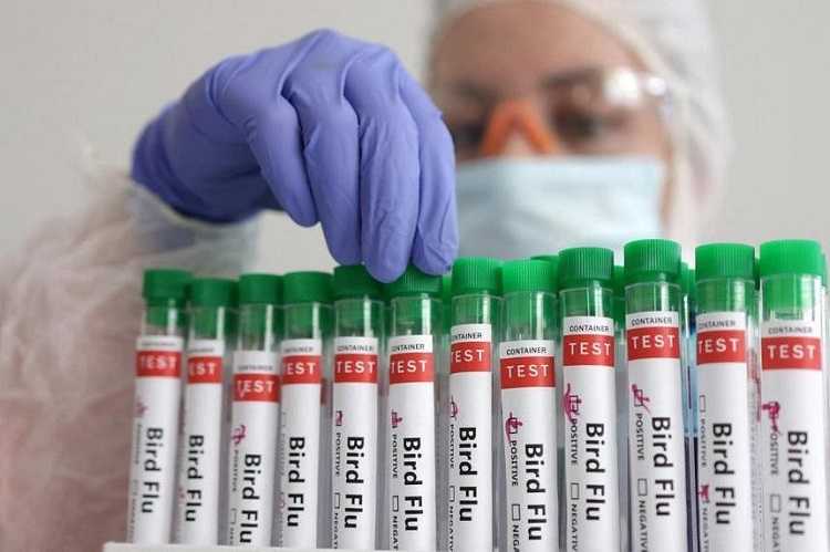 AS Keluarkan Peringatan Kesehatan untuk Infeksi Flu Burung