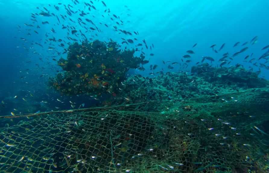 ASEAN Perlu Kumpulkan Dana Bersama untuk Berantas Illegal Fishing