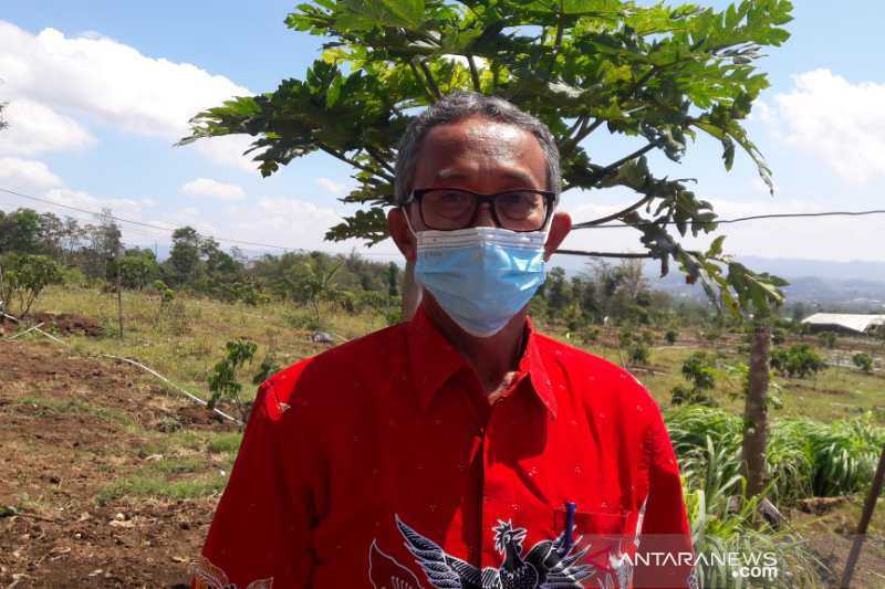 Asyik, Ayo Berlibur Sambil Makan Kelengkeng di Pengilon Edupark Temanggung