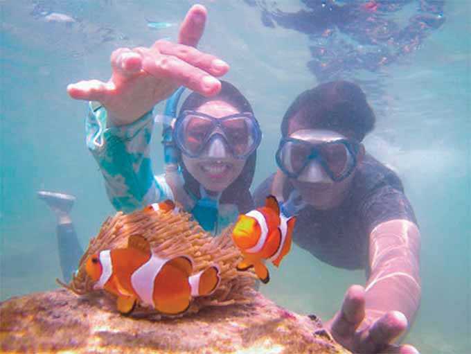 Asyiknya Bercengkerama dengan Ikan Nemo di Untung Jawa