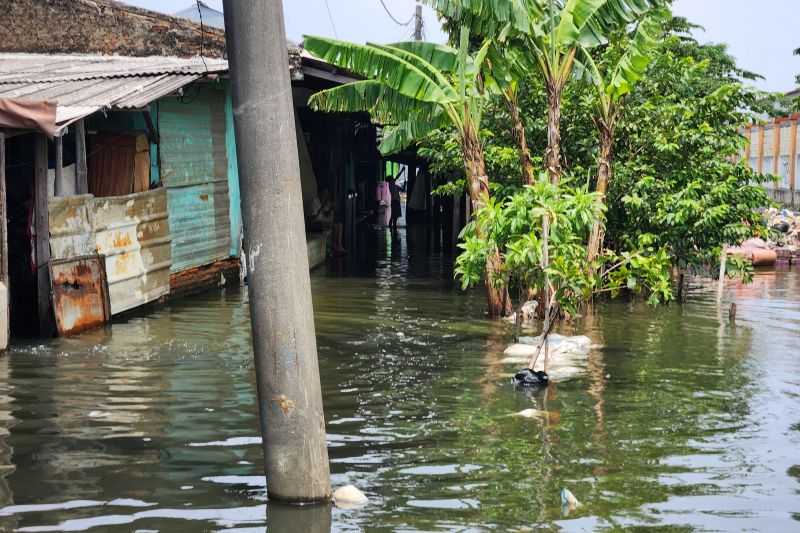 Atasi Banjir, Pemprov DKI Diminta Perbaiki Turap Sodetan Kali Semongol