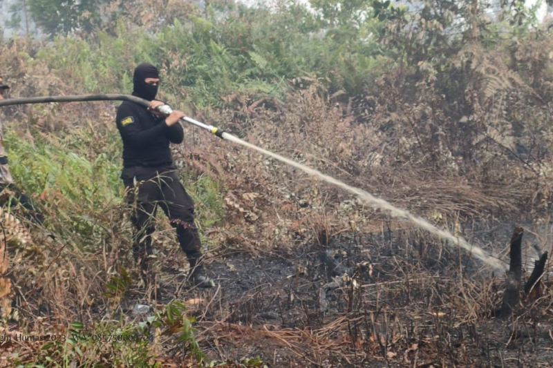 Atasi Kebakaran Hutan, BPBD Kaltim Siapkan Modifikasi Cuaca Guna Kendalikan Karhutla