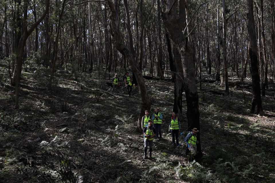 Australia Akan Sisakan 30% Daratannya untuk Lindungi Spesies Langka