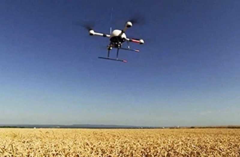 Australia Manfaatkan Drone untuk Bercocok Tanam Bunga Matahari