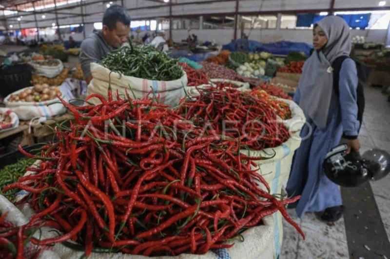 Awal Pekan Ini, Harga Cabai Merah Melonjak Capai Rp41.000 per Kg