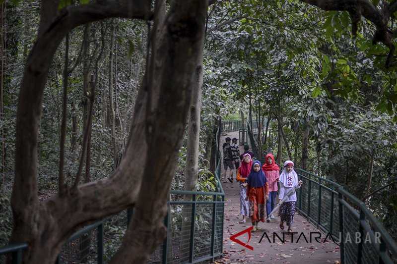 Ayo Aparat Kewilayahan Gelorakan Penghijauan