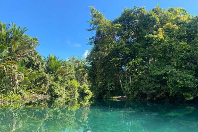 Ayo Perkuat Upaya Menjaga Hutan di Sorong Selatan agar Dapat Memberikan Hadiah Bagi Dunia