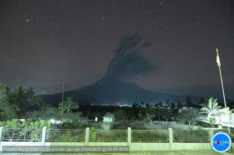 Badan Geologi: Suplai Magma Cukup Tinggi di Gunung Lewotobi Laki-laki