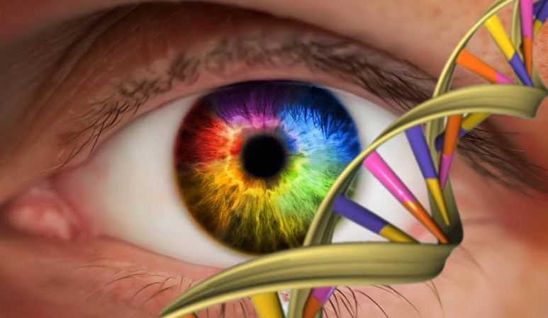 Bagaimana DNA Mempengaruhi Sidik Jari dan Warna Mata?