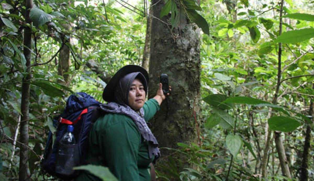 Balada Perempuan Penjaga Hutan Lindung di Aceh