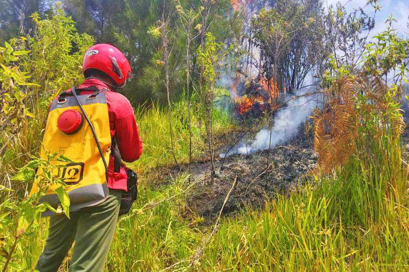 Balai Besar TNBTS Kerahkan Tim Gabungan Tangani Kebakaran di Savana Bromo