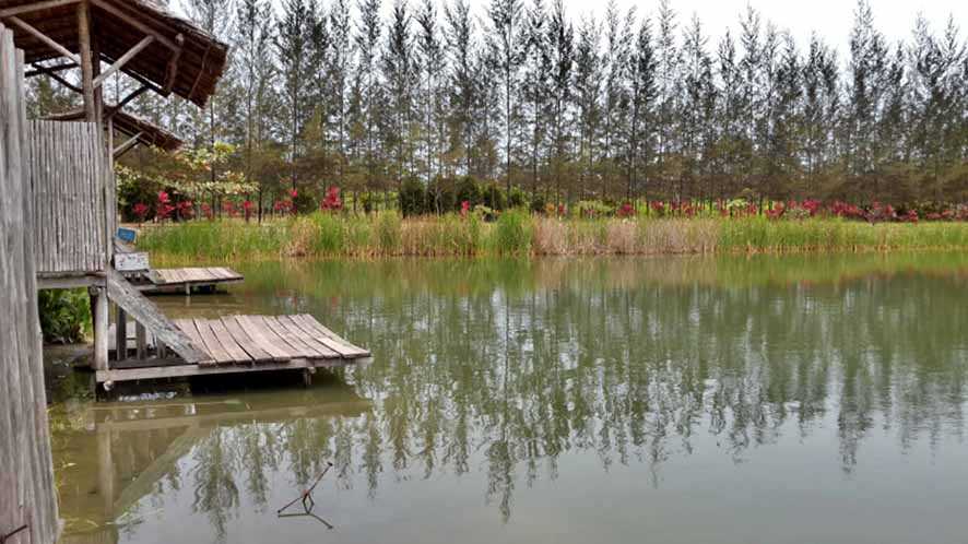 Bangka Botanical Garden,  Oase di Lahan Bekas Tambang