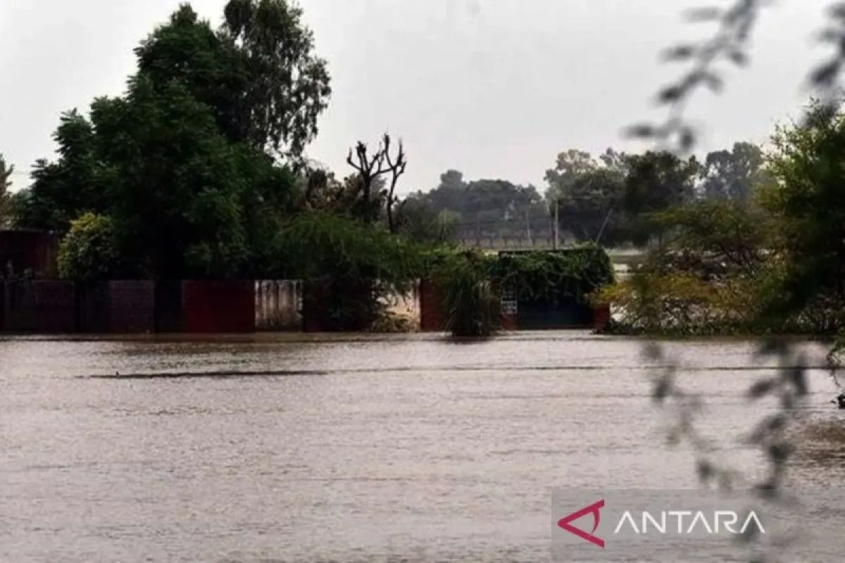 Banjir Besar di Nigeria Berdampak pada Satu Juta Jiwa