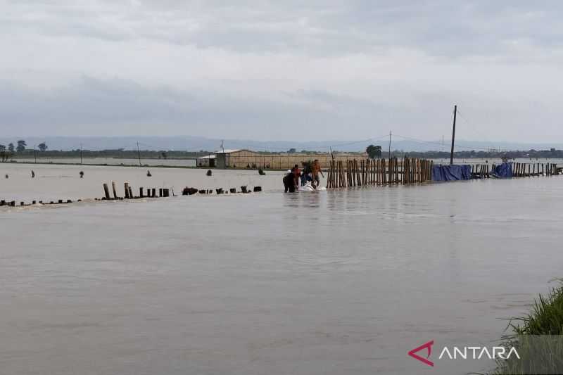 Banjir di Demak Makin Meluas, 44 Desa Terdampak