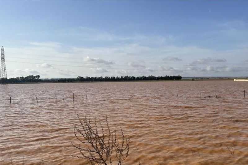 Banjir di Nigeria Tewaskan 170 Orang dalam Beberapa Pekan Terakhir