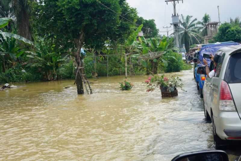 Banjir di Pasaman Barat, 430 Hektare Lahan Pertanian Terendam